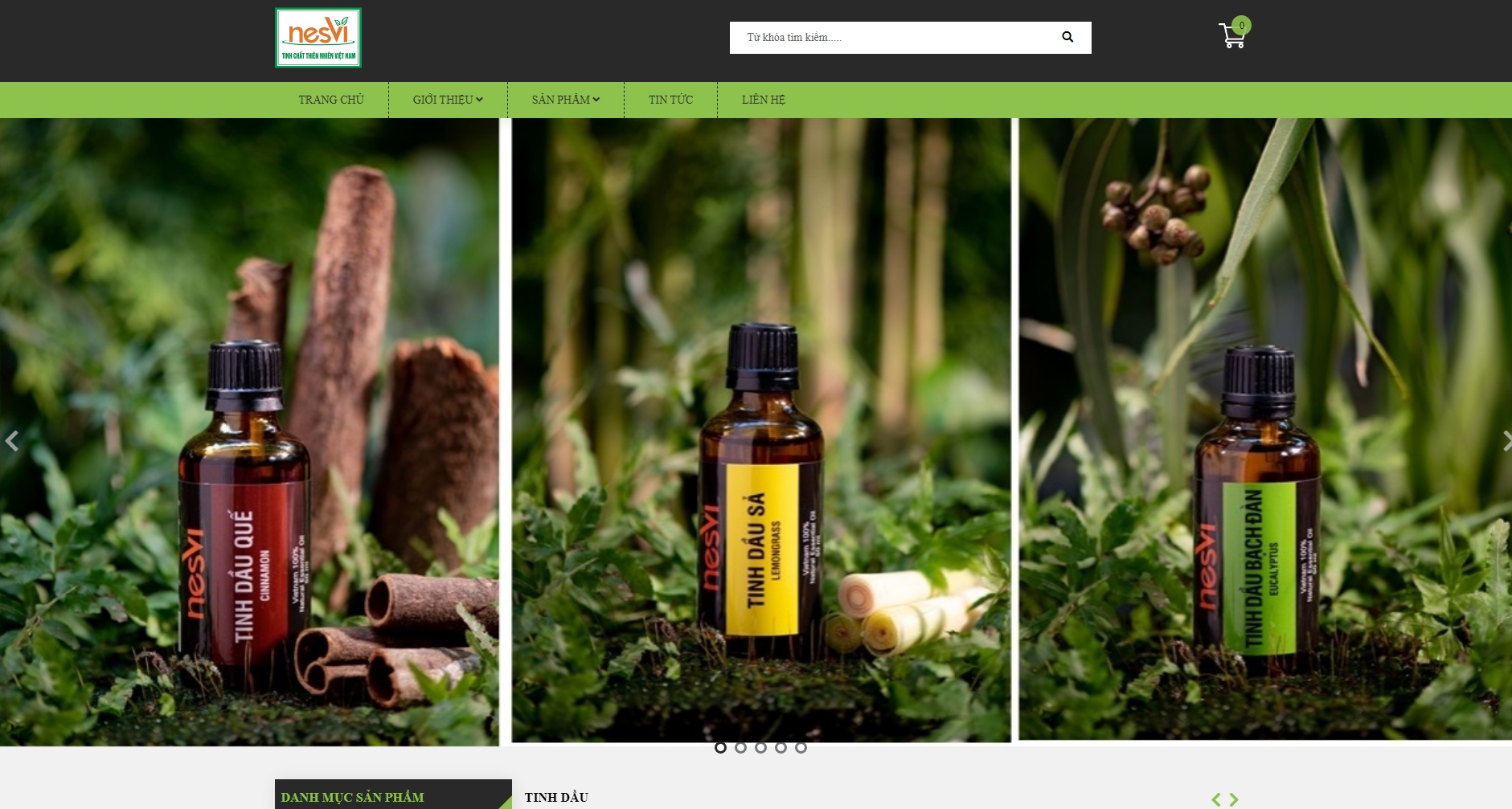 Thiết kế website giá rẻ NESVI.COM.VN