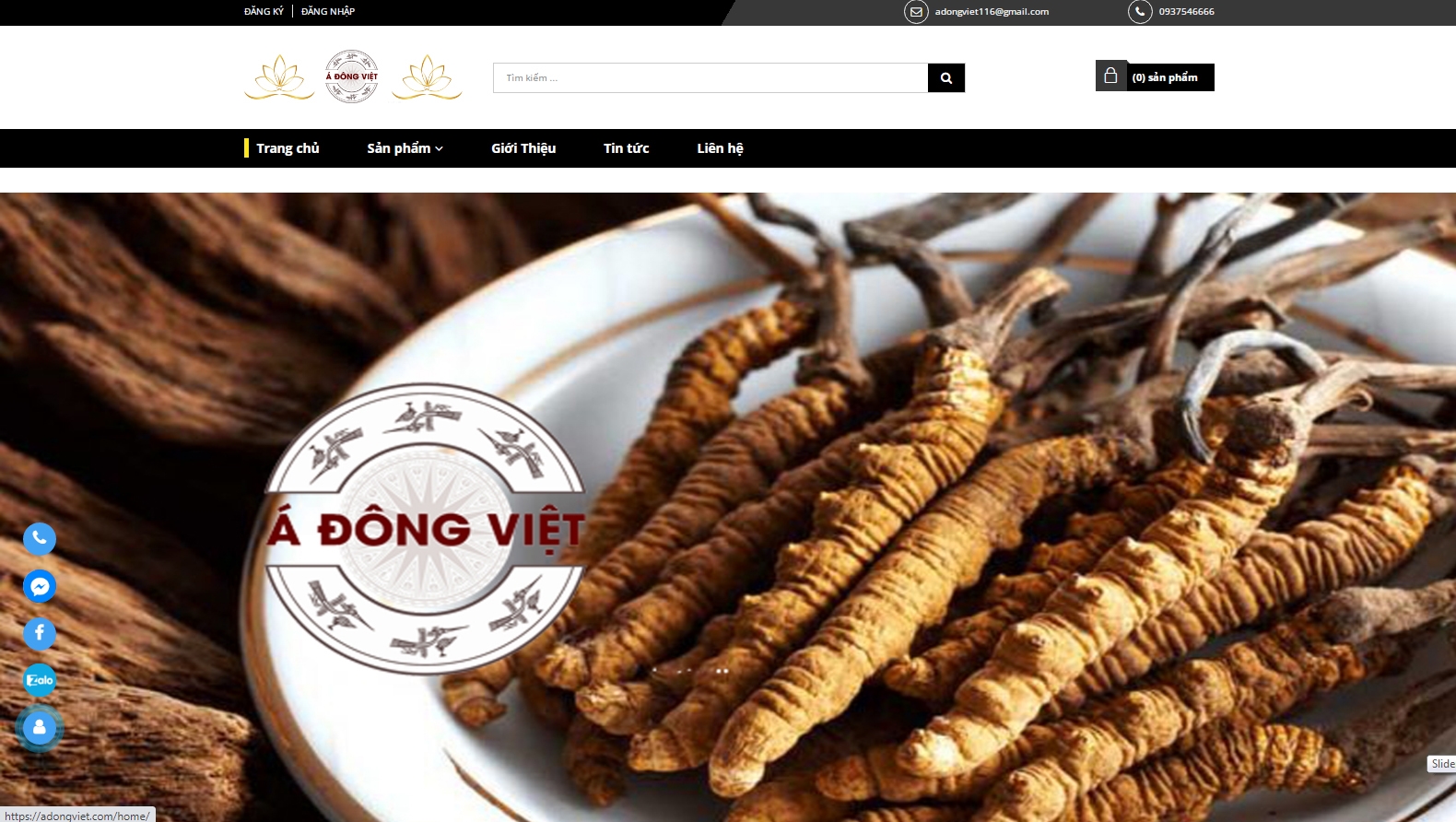 Thiết kế website giá rẻ ADONGVIET.COM