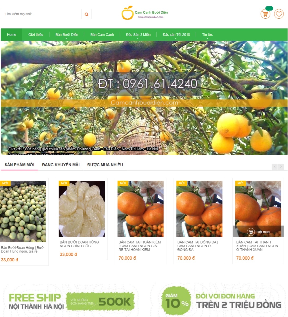 Thiết kế web giá rẻ cam canh bưởi diễn