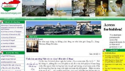 Thiết kế web giá rẻ công ty TNHH thương mại - dịch vụ du học và việc làm đa nuýp xanh