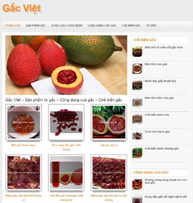 Thiết kế web giá rẻ công ty cổ phần thương mại Hoa Kỳ