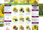 Thiết kế web thật là đơn giản???